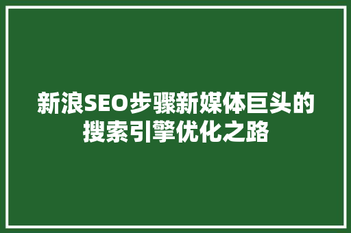 新浪SEO步骤新媒体巨头的搜索引擎优化之路
