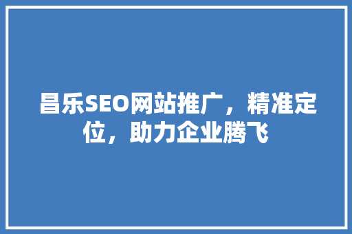 昌乐SEO网站推广，精准定位，助力企业腾飞