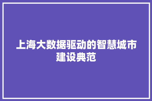 上海大数据驱动的智慧城市建设典范