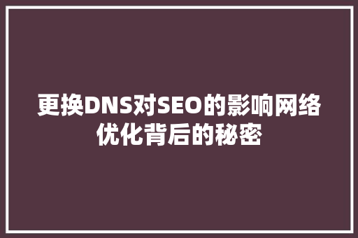 更换DNS对SEO的影响网络优化背后的秘密