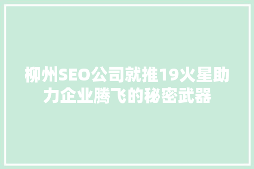 柳州SEO公司就推19火星助力企业腾飞的秘密武器