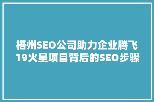 梧州SEO公司助力企业腾飞19火星项目背后的SEO步骤