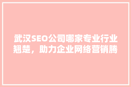 武汉SEO公司哪家专业行业翘楚，助力企业网络营销腾飞