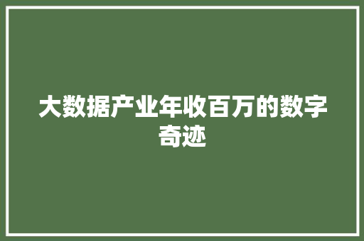 大数据产业年收百万的数字奇迹  第1张