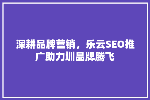 深耕品牌营销，乐云SEO推广助力圳品牌腾飞