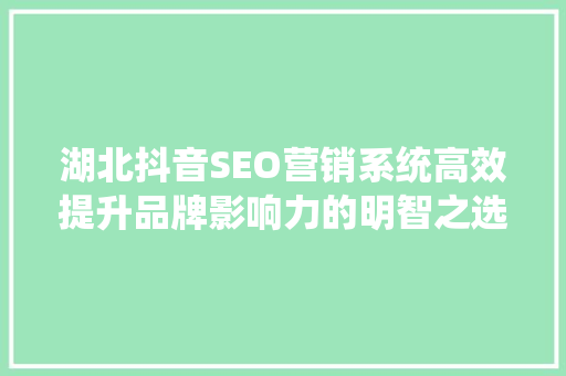 湖北抖音SEO营销系统高效提升品牌影响力的明智之选