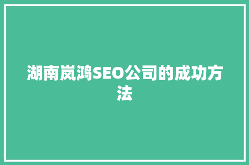 湖南岚鸿SEO公司的成功方法