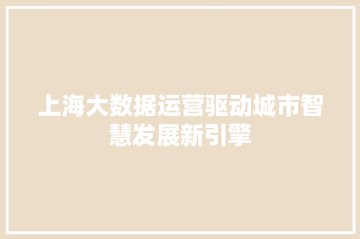 上海大数据运营驱动城市智慧发展新引擎