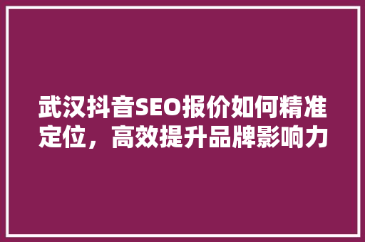 武汉抖音SEO报价如何精准定位，高效提升品牌影响力  第1张