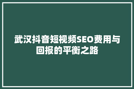 武汉抖音短视频SEO费用与回报的平衡之路