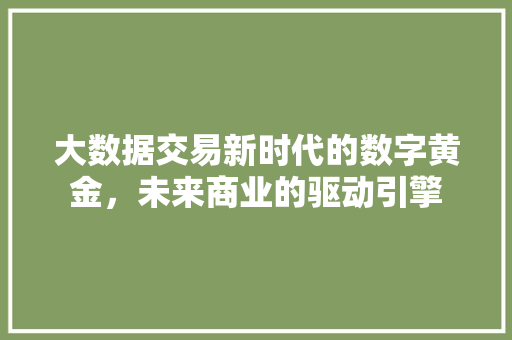 大数据交易新时代的数字黄金，未来商业的驱动引擎  第1张