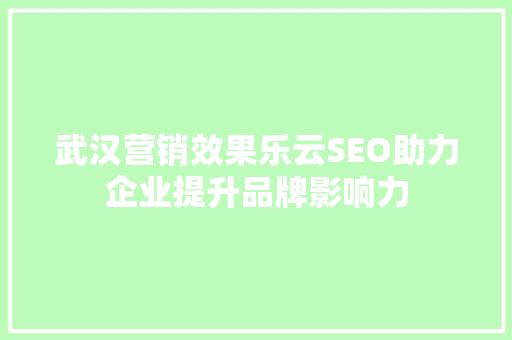 武汉营销效果乐云SEO助力企业提升品牌影响力