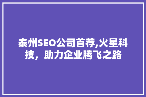 泰州SEO公司首荐,火星科技，助力企业腾飞之路