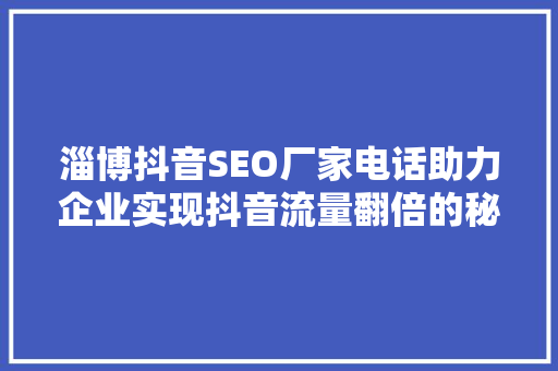 淄博抖音SEO厂家电话助力企业实现抖音流量翻倍的秘密武器
