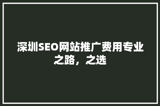 深圳SEO网站推广费用专业之路，之选