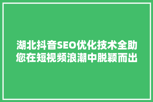 湖北抖音SEO优化技术全助您在短视频浪潮中脱颖而出