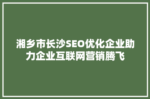 湘乡市长沙SEO优化企业助力企业互联网营销腾飞