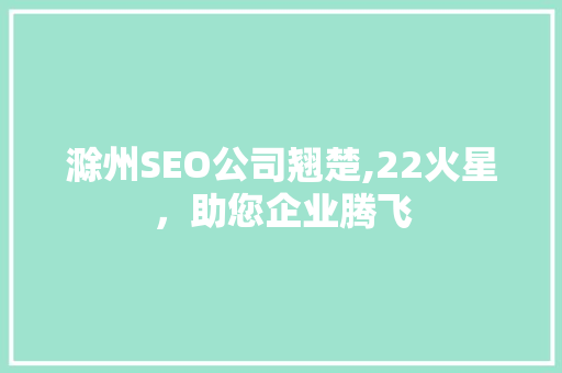 滁州SEO公司翘楚,22火星，助您企业腾飞