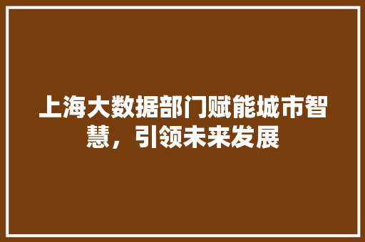 上海大数据部门赋能城市智慧，引领未来发展