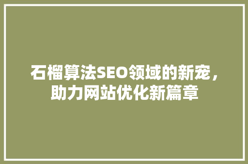 石榴算法SEO领域的新宠，助力网站优化新篇章