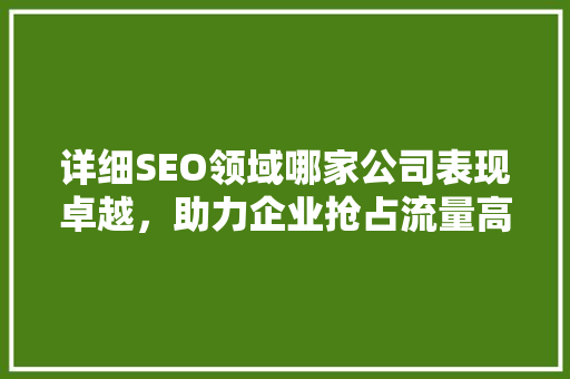 详细SEO领域哪家公司表现卓越，助力企业抢占流量高地