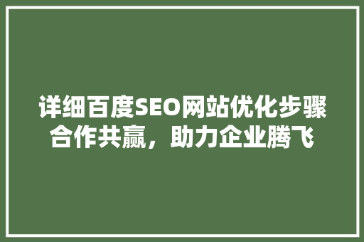 详细百度SEO网站优化步骤合作共赢，助力企业腾飞