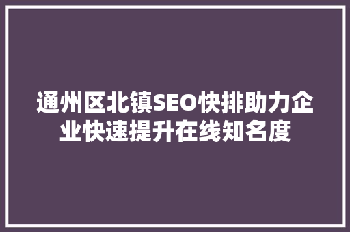 通州区北镇SEO快排助力企业快速提升在线知名度