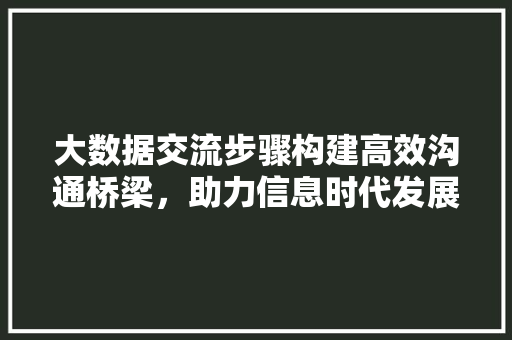 大数据交流步骤构建高效沟通桥梁，助力信息时代发展  第1张