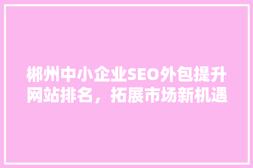 郴州中小企业SEO外包提升网站排名，拓展市场新机遇