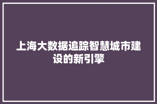 上海大数据追踪智慧城市建设的新引擎
