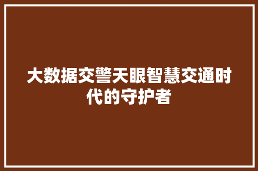 大数据交警天眼智慧交通时代的守护者  第1张