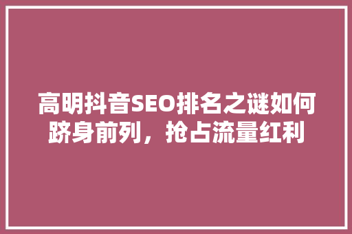 高明抖音SEO排名之谜如何跻身前列，抢占流量红利