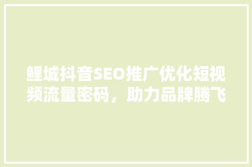 鲤城抖音SEO推广优化短视频流量密码，助力品牌腾飞