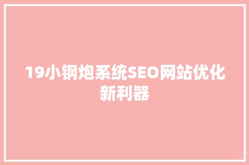 19小钢炮系统SEO网站优化新利器