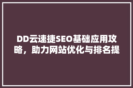 DD云速捷SEO基础应用攻略，助力网站优化与排名提升
