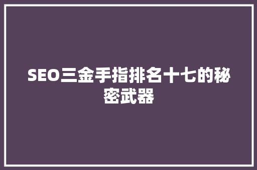 SEO三金手指排名十七的秘密武器
