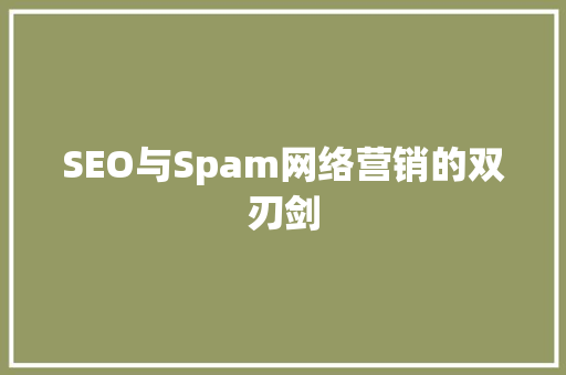 SEO与Spam网络营销的双刃剑