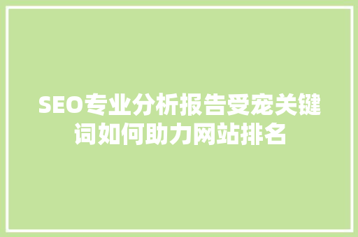 SEO专业分析报告受宠关键词如何助力网站排名
