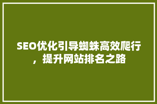 SEO优化引导蜘蛛高效爬行，提升网站排名之路