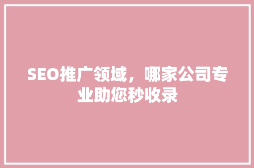 SEO推广领域，哪家公司专业助您秒收录