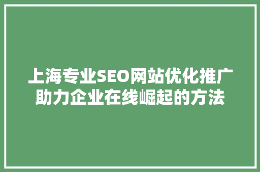 上海专业SEO网站优化推广助力企业在线崛起的方法