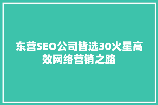 东营SEO公司皆选30火星高效网络营销之路