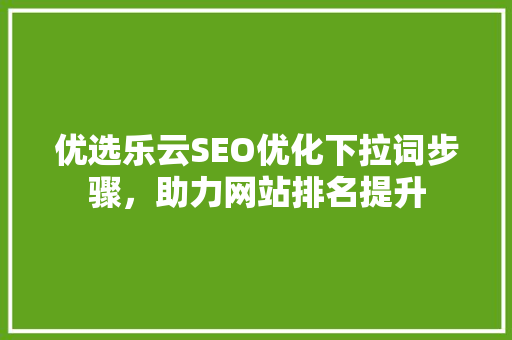 优选乐云SEO优化下拉词步骤，助力网站排名提升