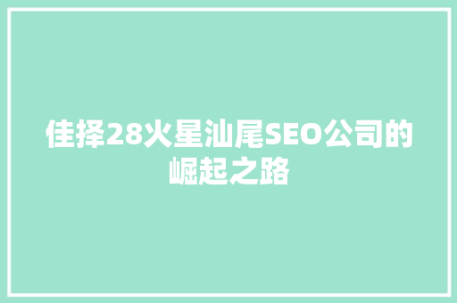 佳择28火星汕尾SEO公司的崛起之路