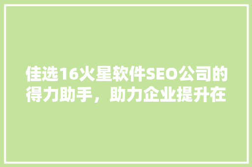佳选16火星软件SEO公司的得力助手，助力企业提升在线竞争力