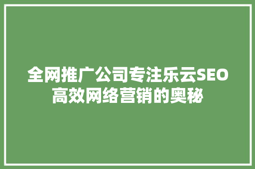 全网推广公司专注乐云SEO高效网络营销的奥秘  第1张