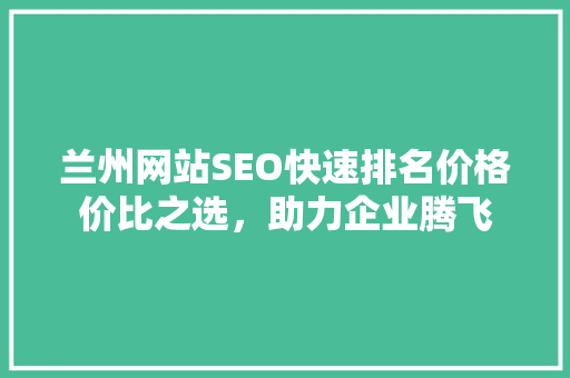 兰州网站SEO快速排名价格价比之选，助力企业腾飞