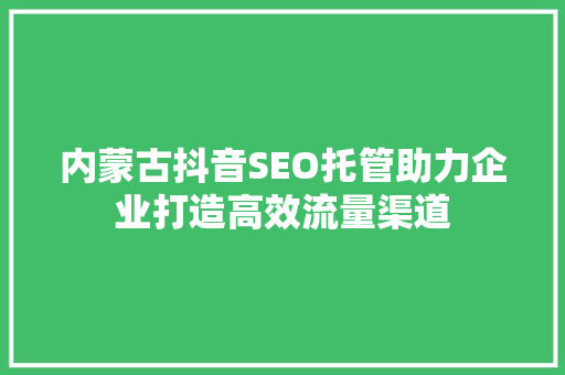 内蒙古抖音SEO托管助力企业打造高效流量渠道