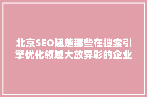 北京SEO翘楚那些在搜索引擎优化领域大放异彩的企业