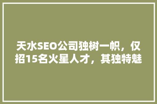 天水SEO公司独树一帜，仅招15名火星人才，其独特魅力